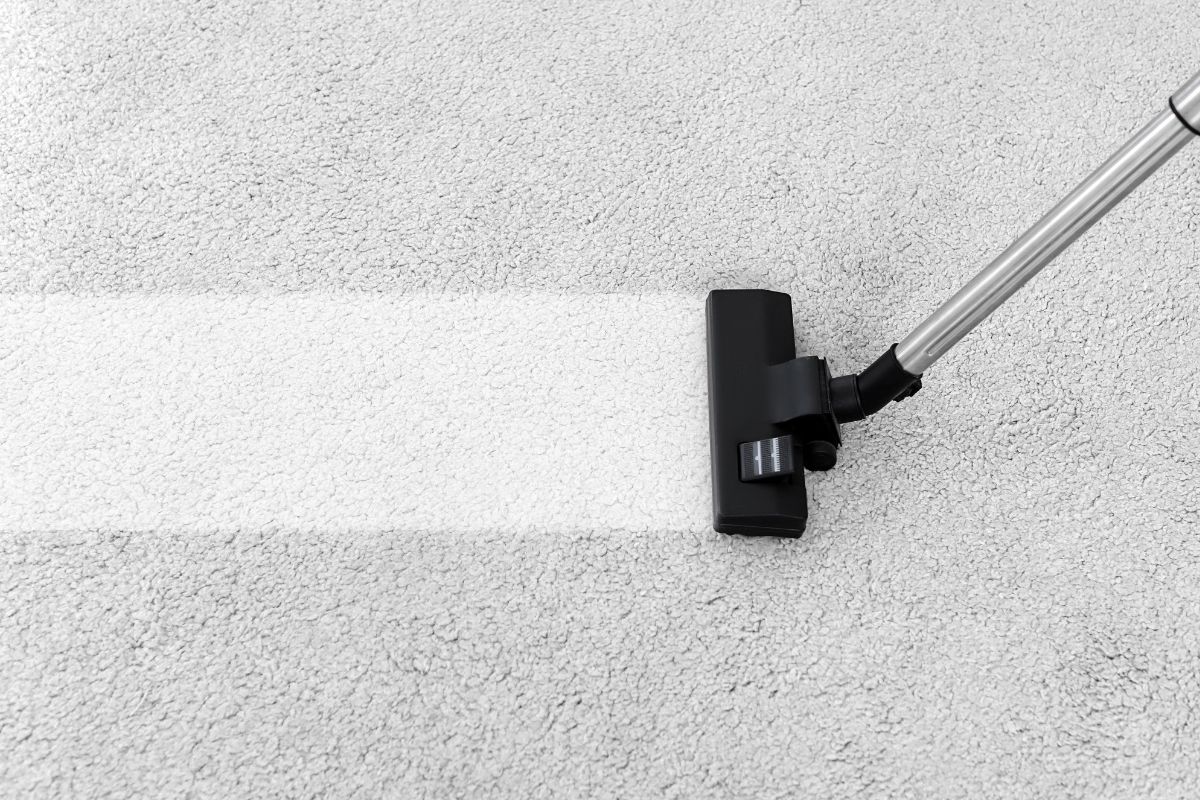 Carpet and Upholstery Cleaning 1