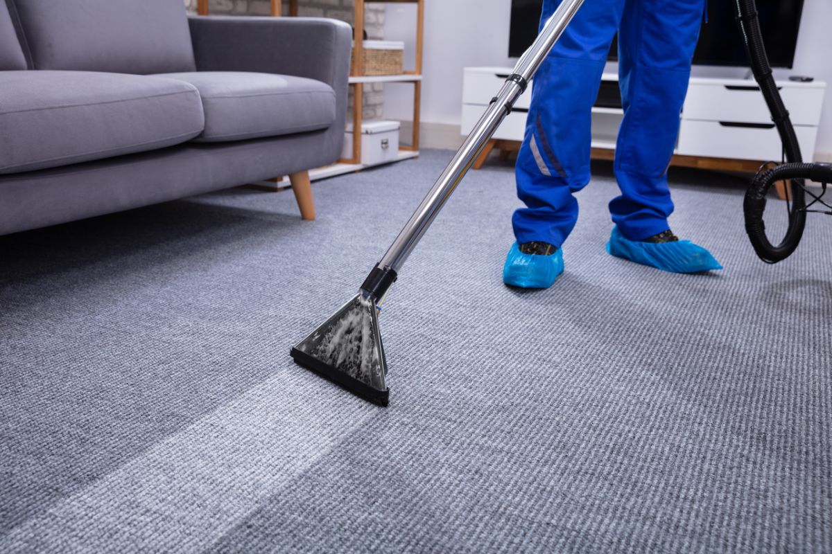 Carpet and Upholstery Cleaning 2