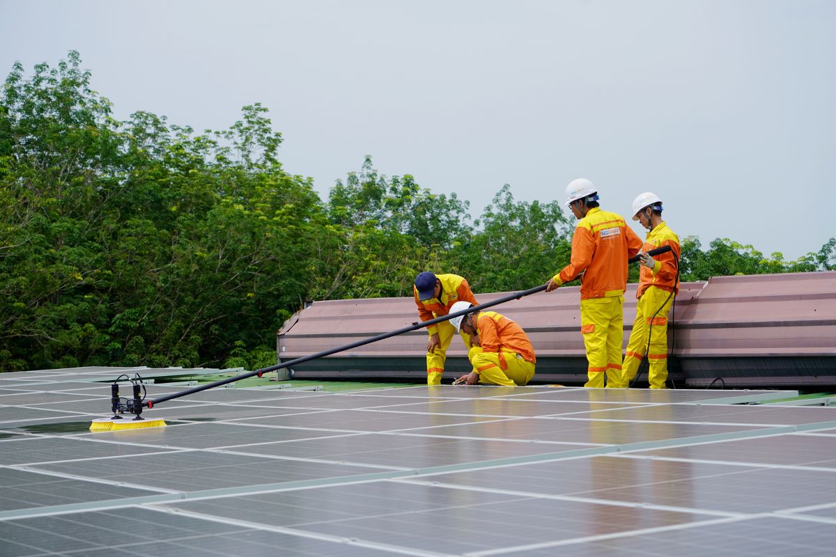 Solar Panel Cleaning 1